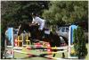 Campo Hpico "El Amigo"-pensionado de caballos, equinoterpia