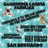 Guarderia canina mis consentidos